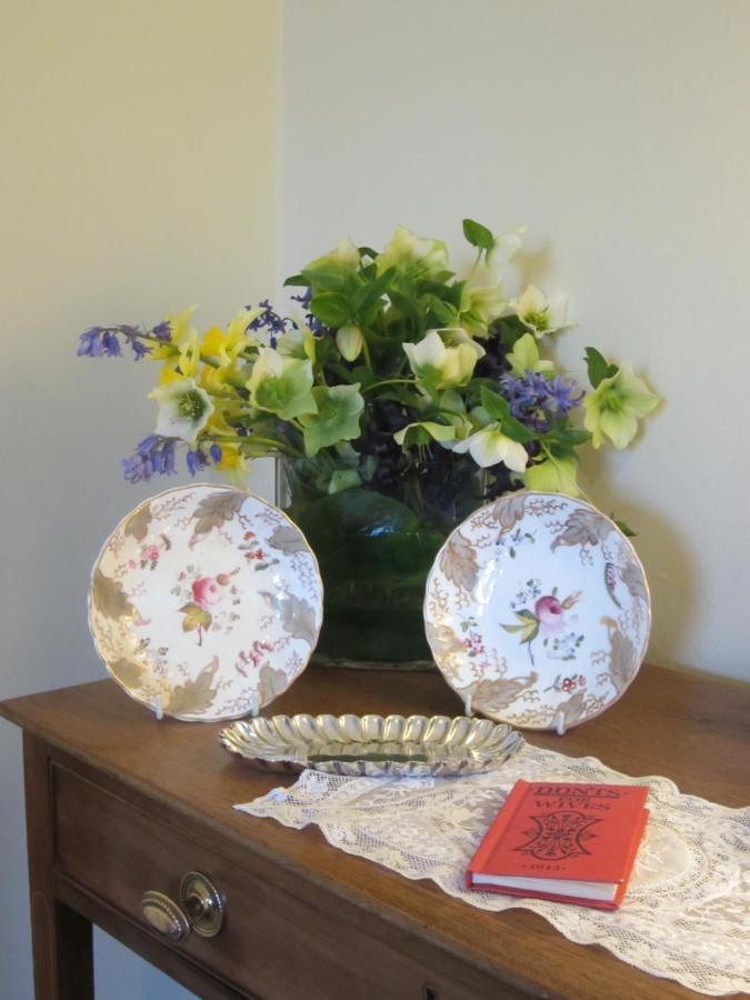 Ballymote Country House Downpatrick Esterno foto