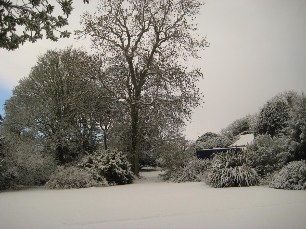 Ballymote Country House Downpatrick Esterno foto