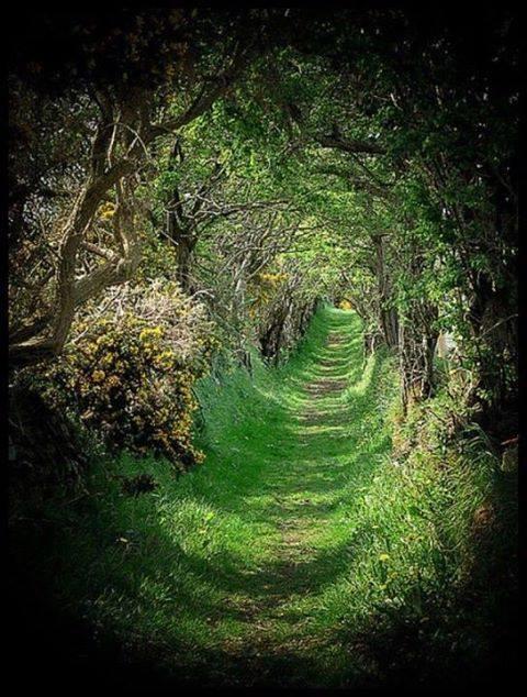 Ballymote Country House Downpatrick Esterno foto